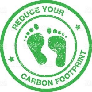 Carbon Footprint: What it is and How to Reduce it