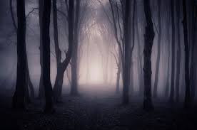 The Dark Part of the Forest #10