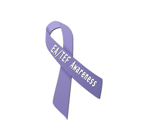 The Purple Ribbons of Perseverance